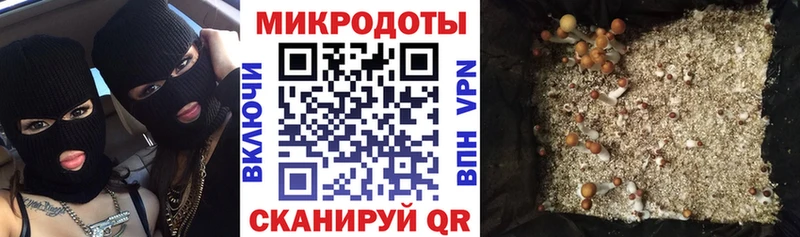 купить   Красноуральск  Псилоцибиновые грибы мицелий 